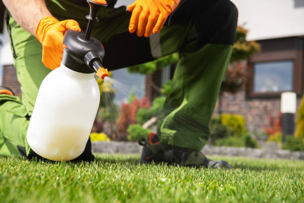 Professional Pest Control in Silverthorne, CO